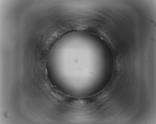 X0000103220307200809041008