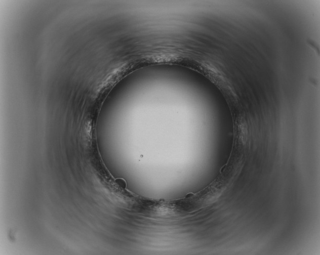 X0000103220308200809041008