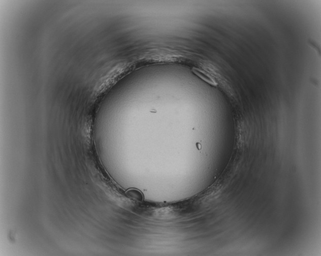 X0000103220309200809041008