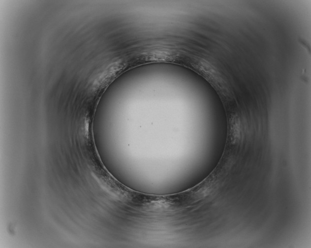 X0000103220310200809041008