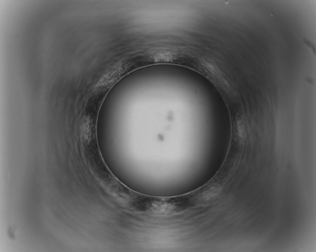 X0000103220311200809041008