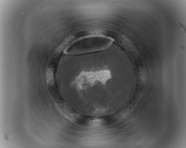 X0000103220312200809041008