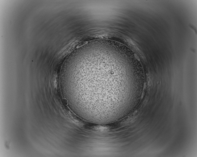 X0000103220313200809041008