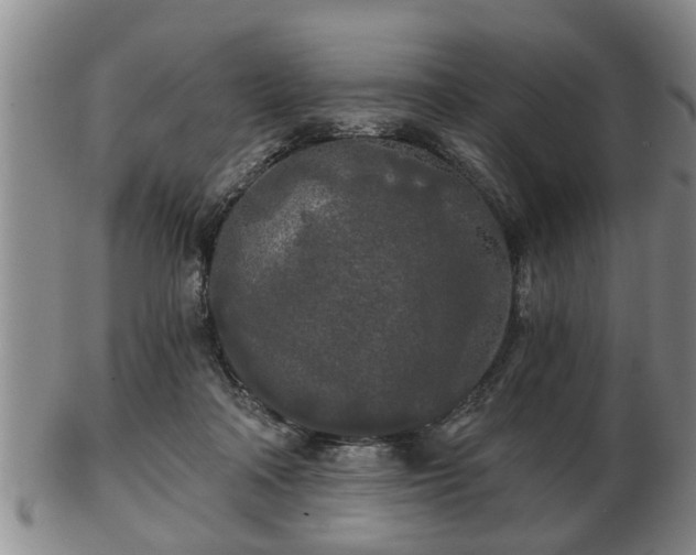 X0000103220314200809041008