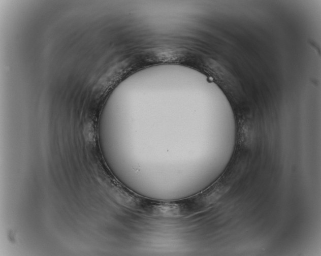 X0000103220317200809041008