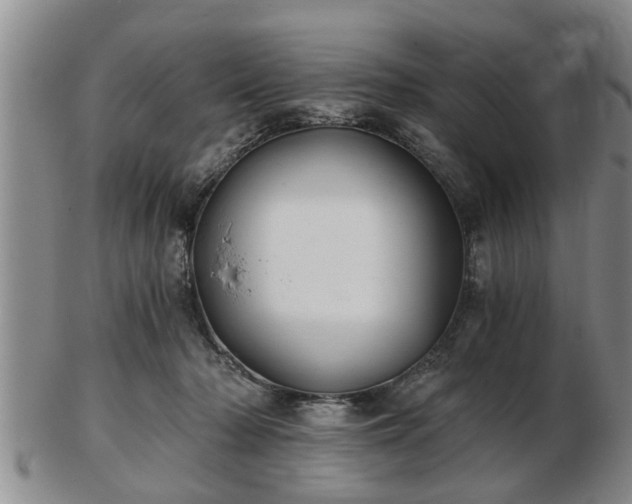 X0000103220318200809041008