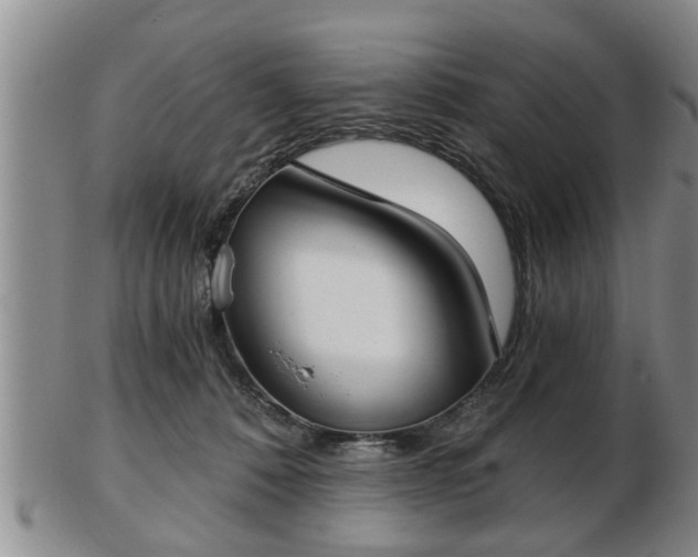 X0000103220320200809041008