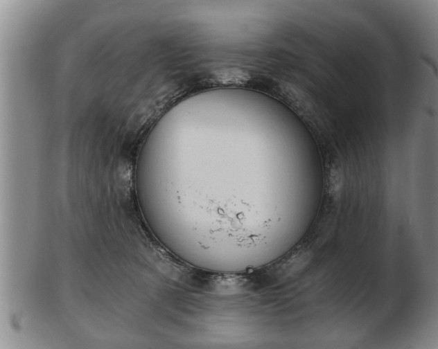 X0000103220321200809041008