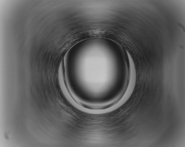 X0000103220324200809041008