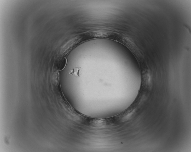 X0000103220325200809041008