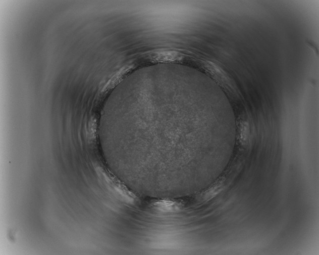 X0000103220326200809041008