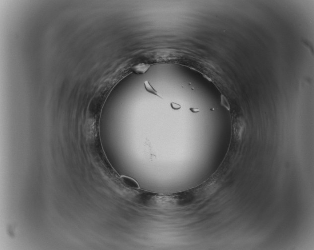 X0000103220327200809041008