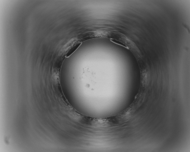 X0000103220329200809041008