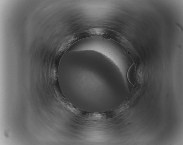 X0000103220330200809041008