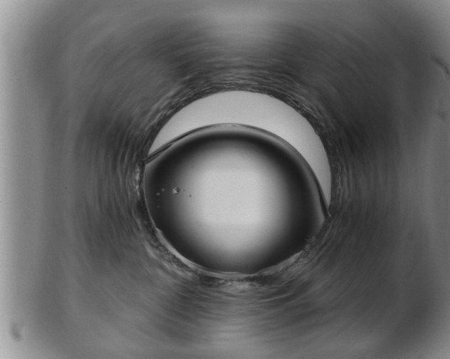 X0000103220332200809041008