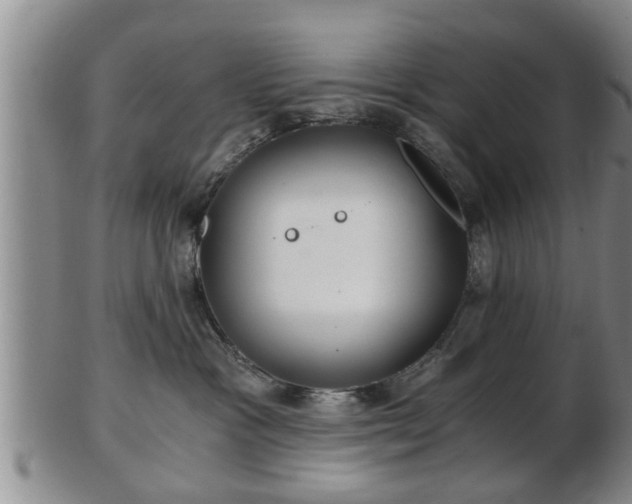 X0000103220333200809041008