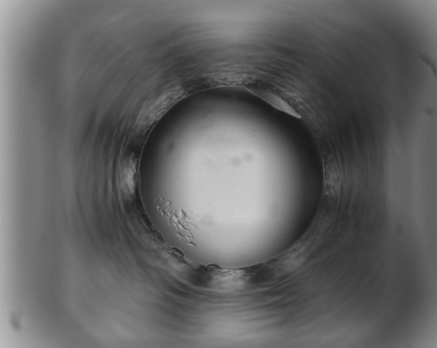 X0000103220334200809041008