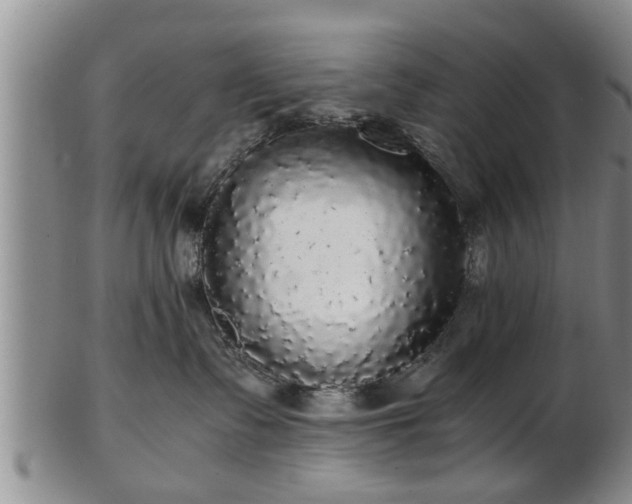 X0000103220335200809041008