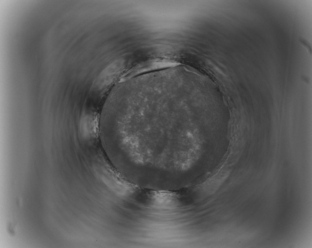 X0000103220336200809041008