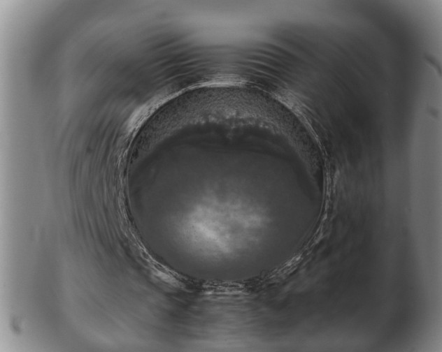 X0000103220337200809041007