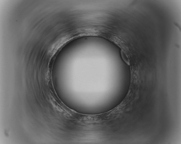 X0000103220338200809041007