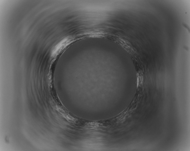 X0000103220339200809041007