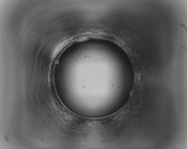 X0000103220340200809041007