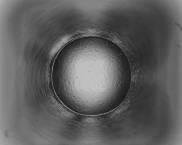 X0000103220341200809041007