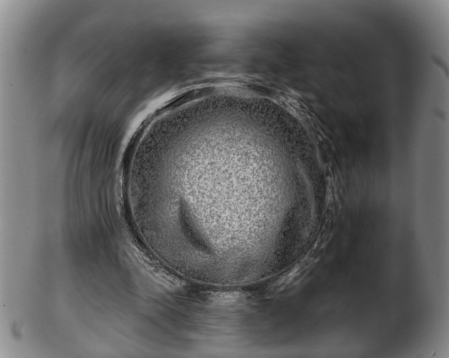 X0000103220342200809041007