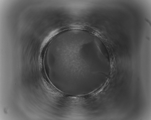 X0000103220343200809041007