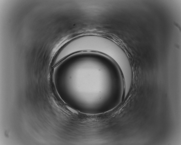 X0000103220344200809041007