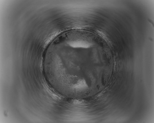 X0000103220346200809041007