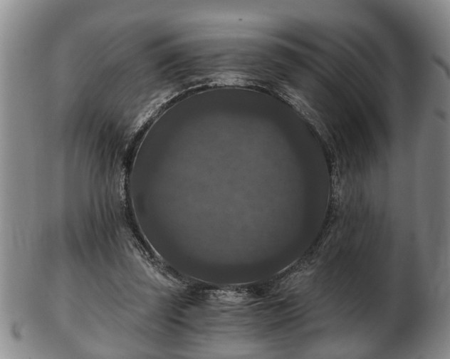 X0000103220347200809041007