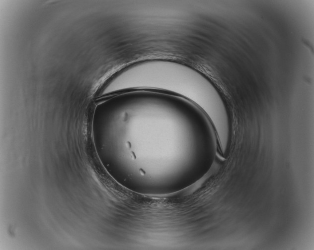 X0000103220348200809041007