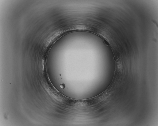 X0000103220350200809041007