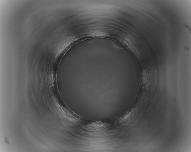 X0000103220351200809041007