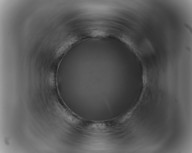 X0000103220353200809041007