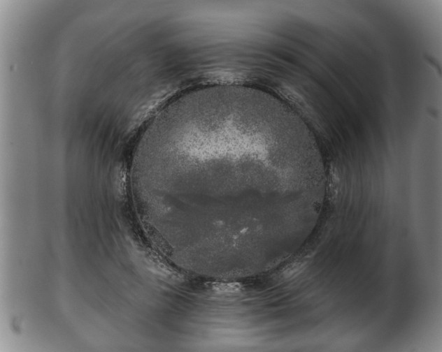 X0000103220355200809041007