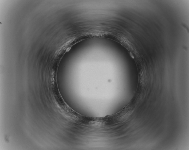 X0000103220356200809041007