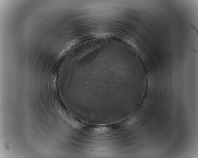 X0000103220357200809041007