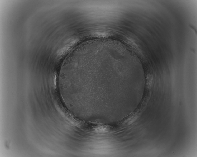 X0000103220358200809041007