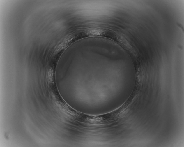 X0000103220359200809041007