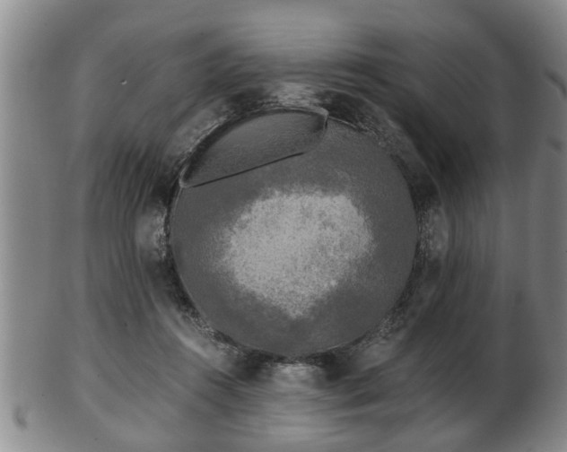 X0000103220360200809041007