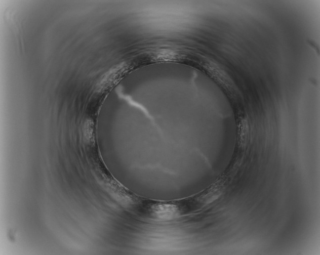 X0000103220361200809041007