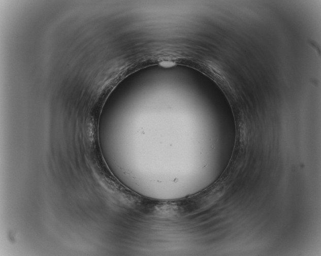 X0000103220362200809041007