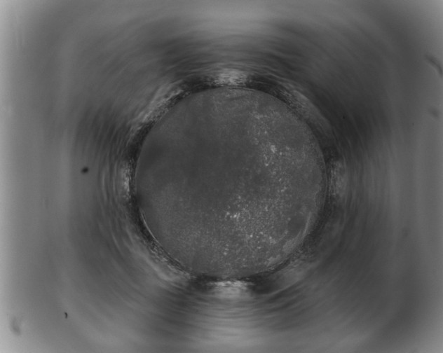 X0000103220363200809041007