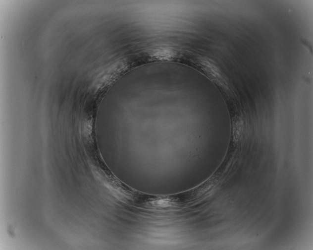 X0000103220365200809041008