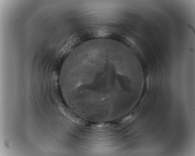 X0000103220366200809041008