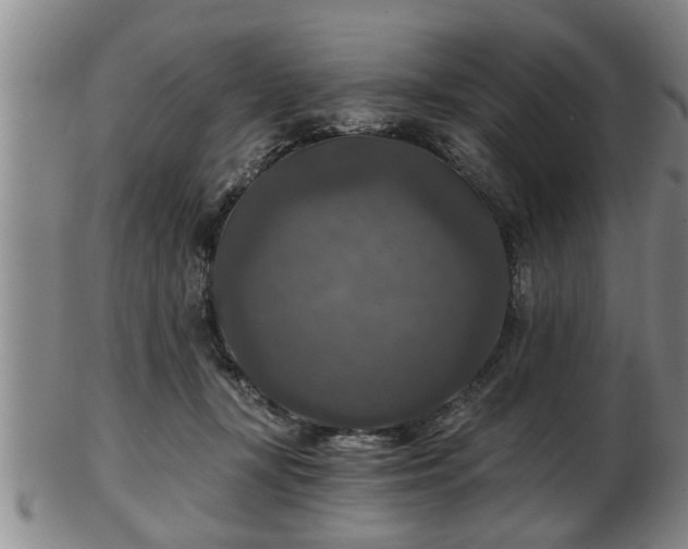 X0000103220367200809041008