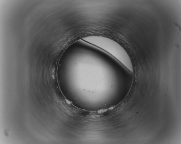 X0000103220368200809041008